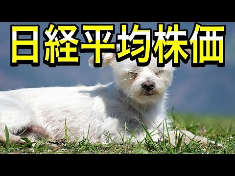 日経平均株価（日経225）とは何か？わかりやすく解説