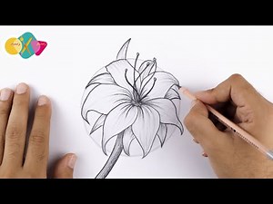 تعليم الرسم بالرصاص | تعلم رسم وردة سهلة جدا بالرصاص خطوة بخطوة للمبتدئين | كيف ترسم وردة سهل جدا