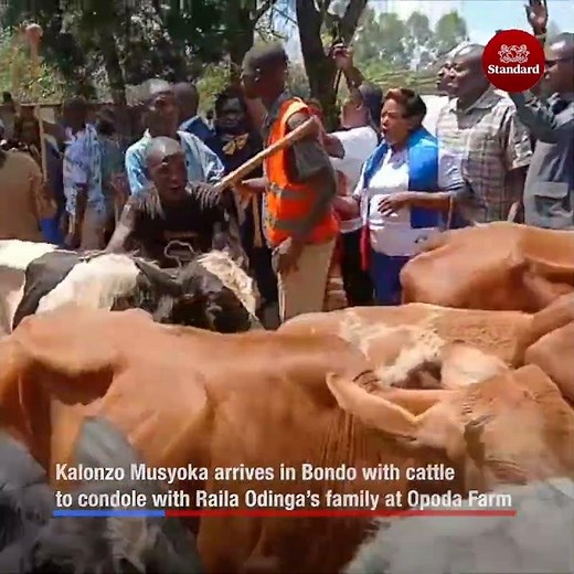 Kalonzo Musyoka arrives in Bondo with cattle to condole with Raila Odinga’s family at Opoda Farm