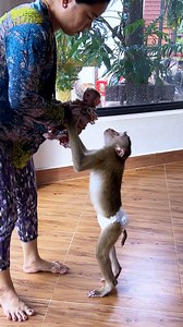 Judee Desperately Miss Maddox, Very Heart Warmnq & TenderIy Care Him | The Judy Family