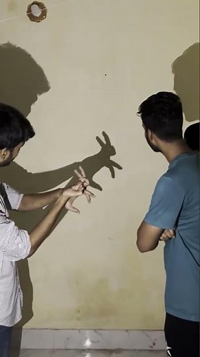 shadow puppet rabbit #shadow #art