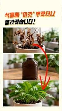 What happens when you spray hydrogen peroxide on plants