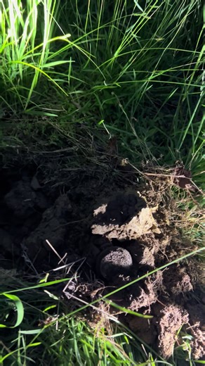 brandonriffe773 RIFFESOUTDOORS on TikTok