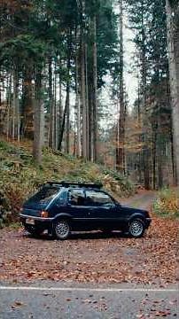 Key Grip: Peugeot 205 GTI