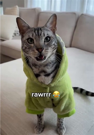 Rawr 🦖😂