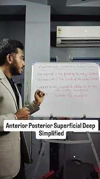 Anatomical Positions & Directions | Anterior, Posterior, Superficial & Deep