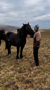 Cai Lui Ionel | Cosma Flavius Adrian