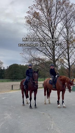 Zusammen Springstunde @Lu:)🫶🏼❤️ Die besten Pferde🐴🤍 #fy #rambo #Charly #equestrian #joliem #reitsport #gönnfy #fyp #fypシ゚viral #fyyyyyyyyyyyyyyyy #fypppppppppppppp