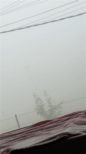 Fog 🌫️ #punjabisong #short #shortfeed #punjabi #viralreels 🙏🙏🙏🙏🙏🙏🙏🙏😭