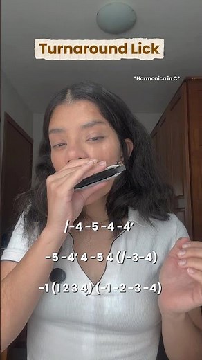Learn this traditional blues turnaround #harmonica