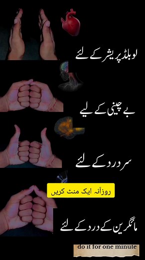 1.6M views · 8.1K reactions | The Flourish on Reels | Facebook