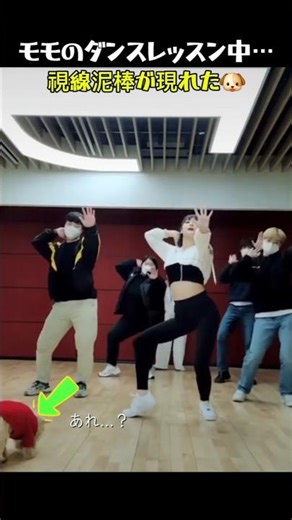 モモのダンスより気になる存在がいる🐶😅#kpop #twice #momo #idol #トゥワイス #モモ