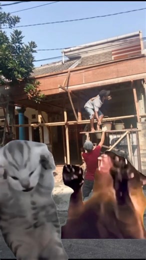 Azumi Zen | Bersihin suara meskipun tetangga lagi renovasi rumah #Cleanvoice #tech #teknologi #azumizen | Instagram