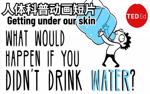 156集【孩子们想知道的奥秘】TED-Ed科普动画短片《Getting under our skin》人体科普短片