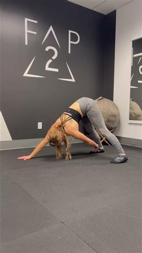 Plank to Downward Dog Transition + Opposite Foot Touch