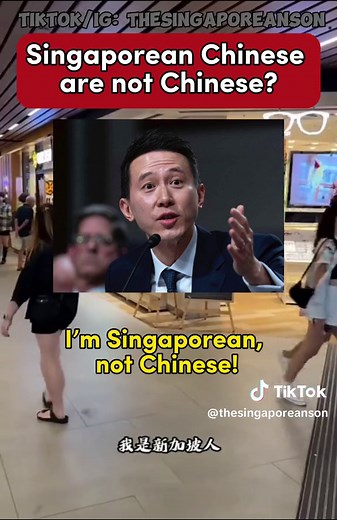 Identity of Singaporean Chinese Explained | Singapore TikTok Insights