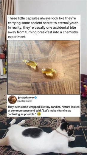 Why Do Vitamins Look So Delicious? 😂