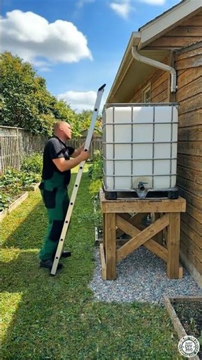 DIY Rainwater Harvesting System Filling Water Tank in Backyard #rainwaterharvesting #sustainable
