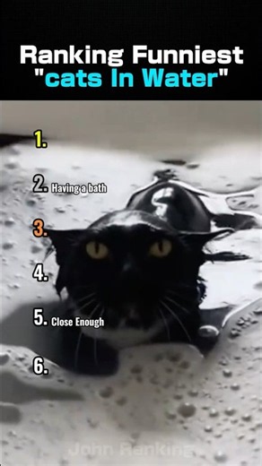 Ranking Funniest Cats In Water Moments 🐈 #cats
