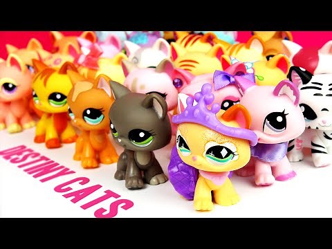 All My LPS Destiny Cats! [UPDATED]