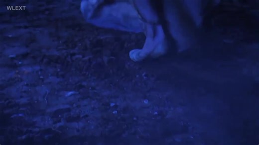 Naagin 6: Episode 15 Part 2 Highlights