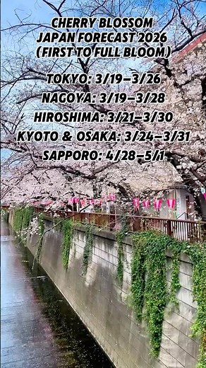 🌸 Japan Cherry Blossom Forecast 2026 | Best Sakura Dates 🌸