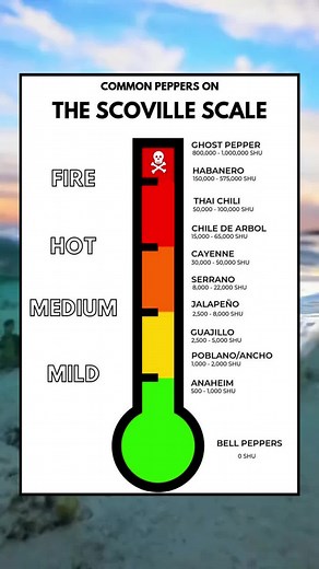 Understanding the Scoville Scale for Peppers
