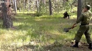 What is the most deadly weapon of a Russian and Soviet soldier? AK? - No! Nukes - no! Sapper shovel ('sapernaya lopatka') - yes ;) P.S. In Soviet schools and in some post-Soviet schools you got some basic course with sapper shovel within 2 years of compulsory pre-military class (as well as chemical defense, basic tactics, AK (assemble/dissemble), basic medicine course, grenade throwing, basic fortification (trenches) and etc. | Made in Russia