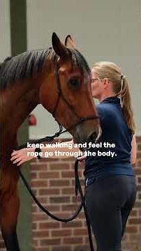 How to work with your horse when you're unsure #trtmethod #horse #groundwork #equestrian