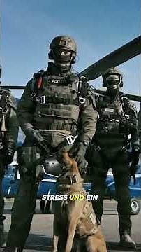 This is the GSG9 unit of the German Federal Police #federalpolice #police