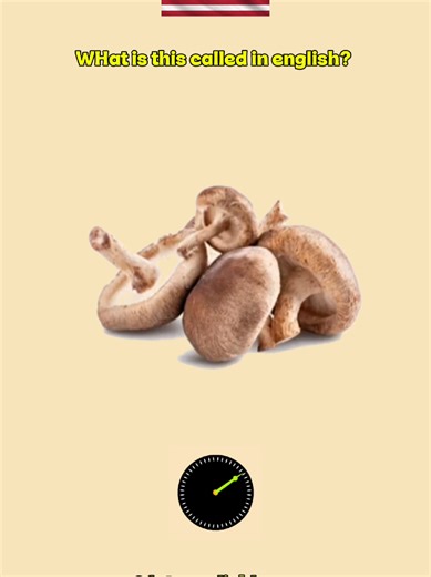 Master Daily English Vocabulary with Easy Tips