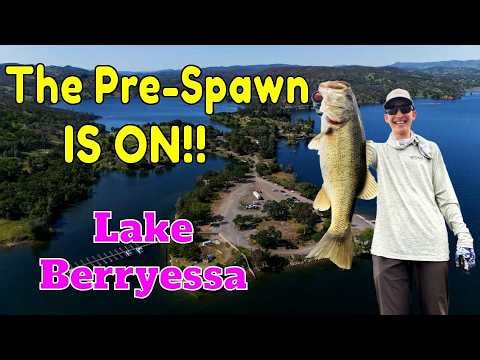 Lake Berryessa Pre-Spawn is ON 🔥| My Best Day Yet