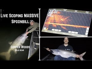 HOW TO CATCH MONSTER SPOONBILL ON LIVESCOPE!