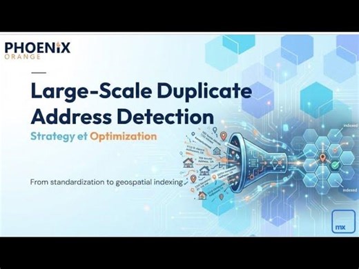 Large Scale Duplicate Address Detection | Patrick BORNIER