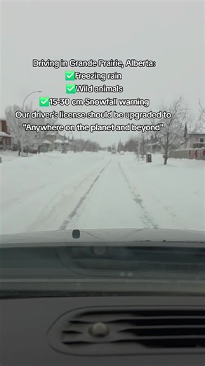 #wintervibes #snowfall #alberta #grandeprairiealberta #grandeprairie