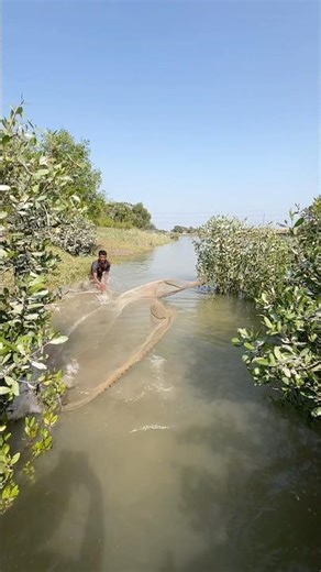 Huge River Monster Catch! #fishing #river #viral #nature #fish