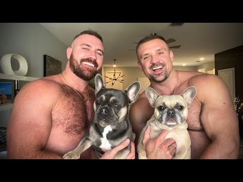 A Day In The Life Featuring Our Frenchies