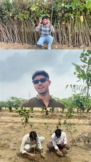 🚨 1 SUBSCRIBE = 1 TREE 🌳❤️ Help Us Plant 10 LAKH Trees #kind2earth #plantation #trees #shorts