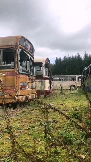 Exploring the Old Irish Bus Graveyard