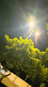 1.4M views · 5.9K reactions | Km 7 av. Capitán Victor Ustaris Alcolimetros adulterados. Según estos policías sus alcolimetros detectan hasta medicamentos 藍 Lo único que detectan son pavitos para sacarles dinero. Vergüenza ajena la policía. Ni bien les dije que publicaría el video se fueron del lugar. Como ya cansan estos muertos de hambre. | Rodrigo Campero | Facebook