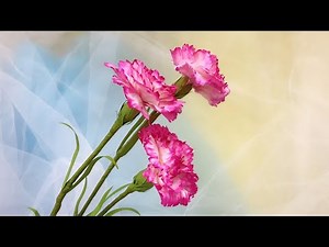ABC TV | How To Make Carnation Paper Flower #1- Craft Tutorial