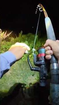 Night Fishing For RIVER MONSTERS Gone WRONG😳