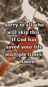 1.1K views · 98 reactions | #pray #church #Jesus #quotes #Lord #truth #God #Bible #Faith #PrayForPeace #Spirituality #PrayerTime #peace #jesus #bibleart #preach #Jesusisking #christianposts #Prayer #GratitudePrayer #Blessed #PrayForStrength #faith #scripture #christian #prayer #journalingbible #biblestudy #Trustworthy #biblequote #Praiseworthy #devotional #christianliving #dailybibleverses | Spread God's word | Facebook