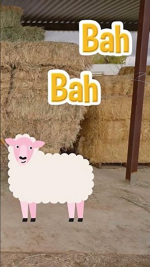 Blippi Visits Old MacDonald's Sheep! Blippi #Shorts