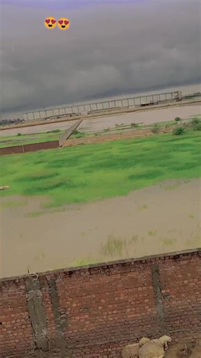 Aladdin 46 (@juttlifegungster)’s videos with original sound - Rizu Niazi