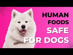 12 Human Foods That Are Safe For Dogs