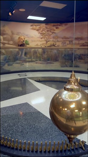 GreensboroScienceCenter on TikTok