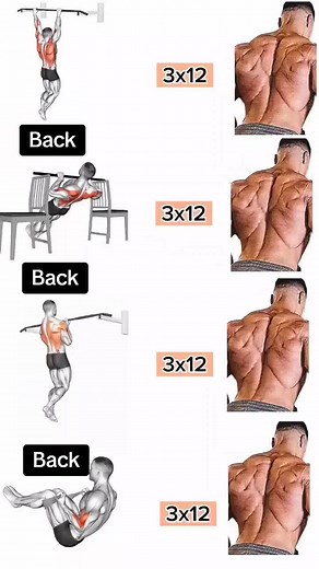 Back Body & Muscle Workout at Home