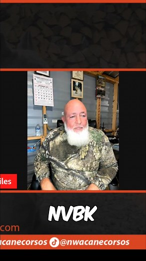 Comparing KNPV and NVBK dog training programs. The speaker dives into why they prefer training fast, strong dogs—perfect for demanding police work. Insights into selecting the ideal canine partner. #KNPV #NVBK #DogTraining #PoliceDogs #WorkingDogs | NWA Cane Corsos