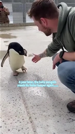 Funny Love Moments That Will Make You Smile